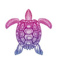 Purple Turtle - Womens Curve Longsleeve Tee Design