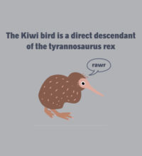 Kiwi Tyrannosarus Rex - Kids Supply Hoodie Design