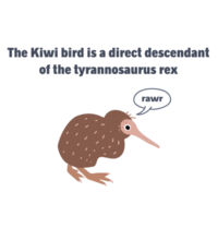 Kiwi Tyrannosarus Rex - Kids Youth T shirt Design