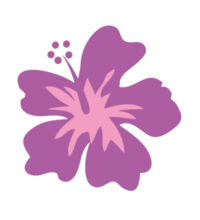 Pink Hibiscus - Tea Towel Design