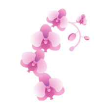 Pink Orchid - Cushion cover Design